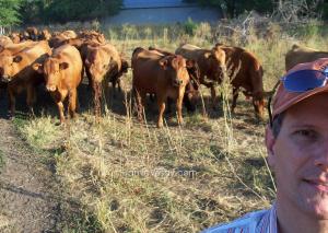 Jamie Vesay Cattle wrangler 100_8192 copy WM