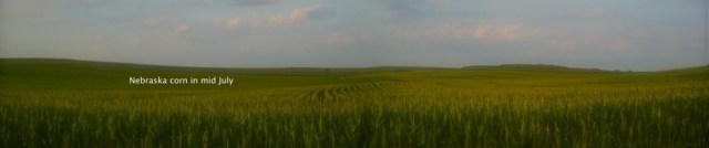 Corn. It's best in July.