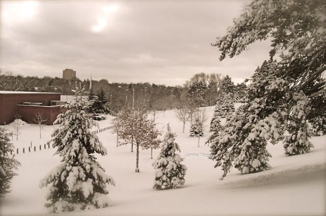 Snow in Omaha park Jamie Vesay WM 100_2648_2 copy