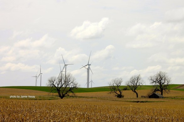 th_Wind farm Petersburg trees cut corn IMG_8254